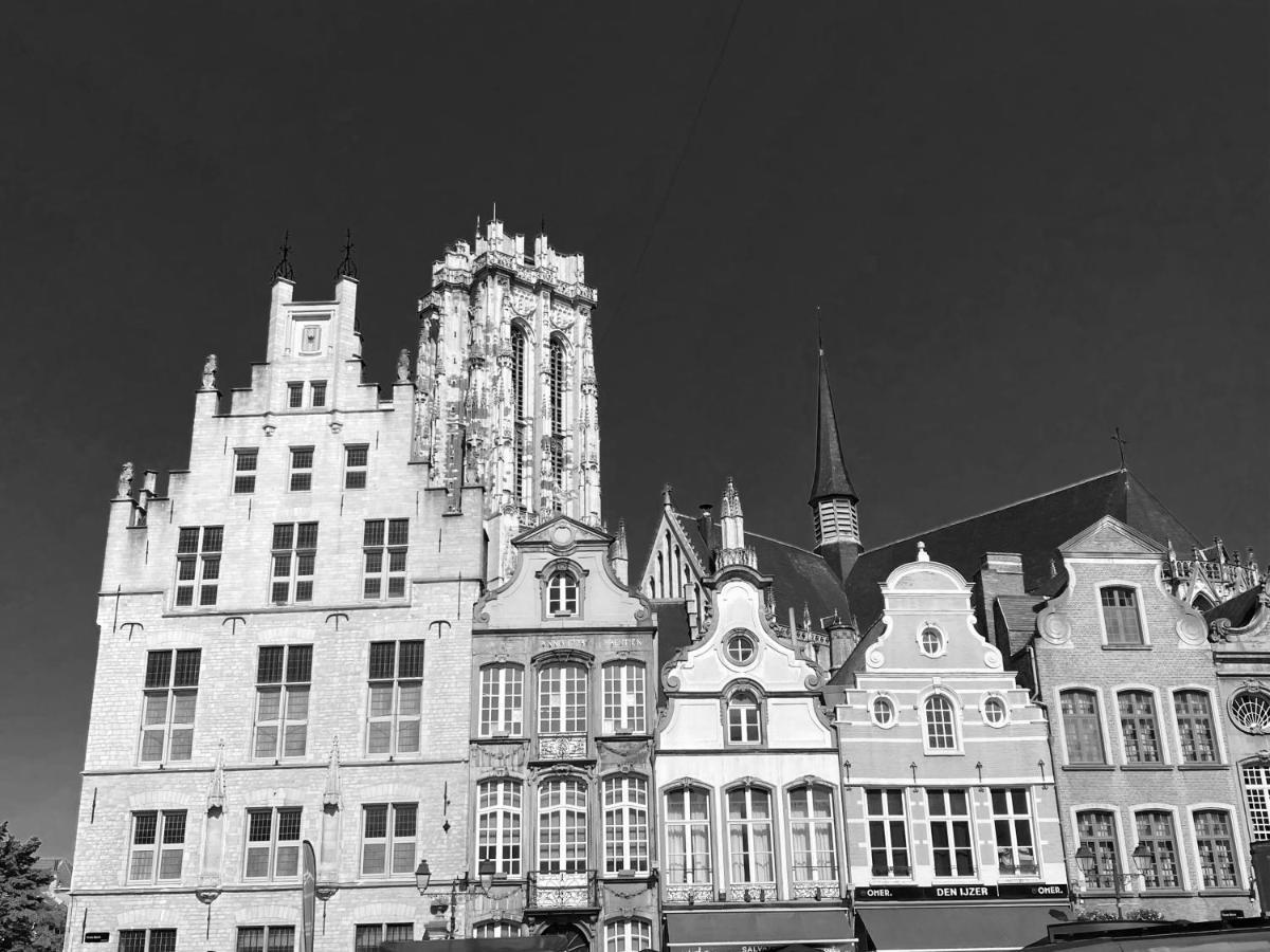 Nova Zembla Bed & Breakfast Mechelen Eksteriør bilde